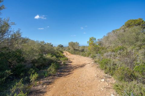 Landejendom i Llucmajor, Mallorca, Llucmajor - € 8.000.000 | Ref: 04SB1156/3010 - foto 17