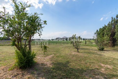 Villa a Pals, Gerona, Pals - € 9.950/mes | Ref: A-COSTABRAVA-36 - foto 5