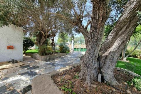 Villa i Algoz, Faro, Algoz - € 595.000 | Ref: GW251 - foto 34