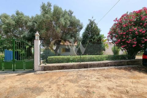 Villa i Algoz, Faro, Algoz - € 595.000 | Ref: GW251 - foto 44