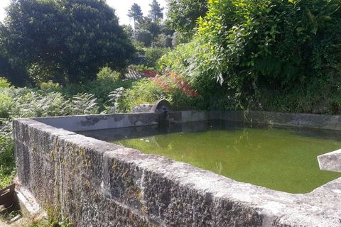 Helårsgrund i Ponte de Lima, Viana do Castelo, Ponte de Lima - € 55.000 | Ref: PTL-1130-JV-0723 - foto 2
