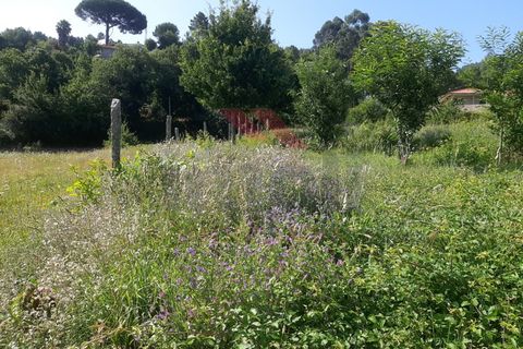 Helårsgrund i Ponte de Lima, Viana do Castelo, Ponte de Lima - € 55.000 | Ref: PTL-1130-JV-0723 - foto 3