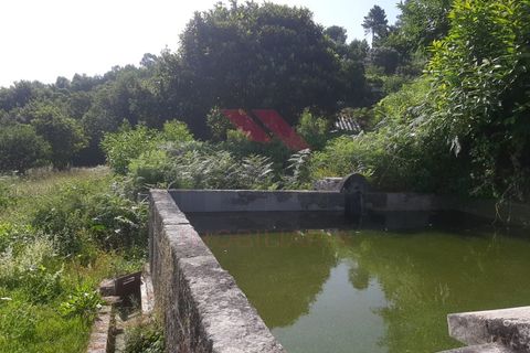 Helårsgrund i Ponte de Lima, Viana do Castelo, Ponte de Lima - € 55.000 | Ref: PTL-1130-JV-0723 - foto 4