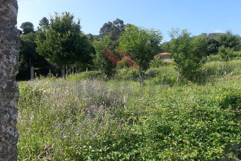 Helårsgrund i Ponte de Lima, Viana do Castelo, Ponte de Lima - € 55.000 | Ref: PTL-1130-JV-0723 - foto 6