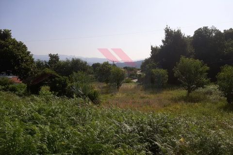 Helårsgrund i Ponte de Lima, Viana do Castelo, Ponte de Lima - € 55.000 | Ref: PTL-1130-JV-0723 - foto 7