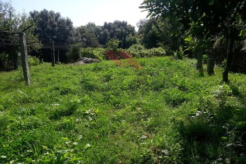 Helårsgrund i Ponte de Lima, Viana do Castelo, Ponte de Lima - € 25.000 | Ref: PTL-1131-JV-0723 - foto 3