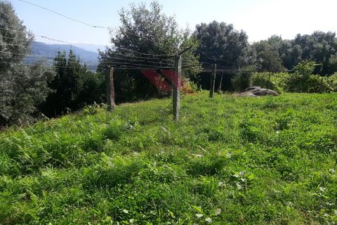 Helårsgrund i Ponte de Lima, Viana do Castelo, Ponte de Lima - € 25.000 | Ref: PTL-1131-JV-0723 - foto 4
