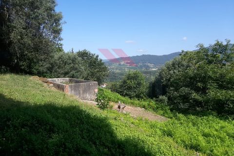 Helårsgrund i Ponte de Lima, Viana do Castelo, Ponte de Lima - € 25.000 | Ref: PTL-1131-JV-0723 - foto 9