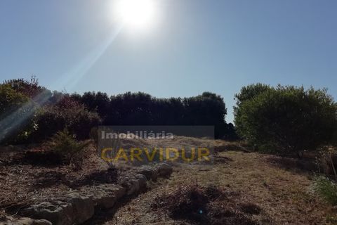 Villa i Belas, Lisbon, Belas - € 1.450.000 | Ref: 241BEL - foto 8