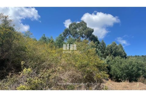 Helårsgrund i Barroselas, Viana do Castelo, Barroselas - € 77.000 | Ref: VCC14132 - foto 21