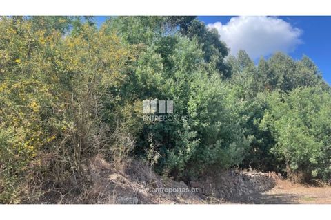 Helårsgrund i Barroselas, Viana do Castelo, Barroselas - € 77.000 | Ref: VCC14132 - foto 22
