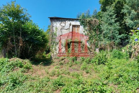 Villa i Ponte de Lima, Viana do Castelo, Ponte de Lima - € 107.500 | Ref: 272M00959 - foto 7