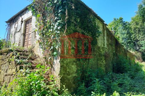 Villa i Ponte de Lima, Viana do Castelo, Ponte de Lima - € 107.500 | Ref: 272M00959 - foto 8