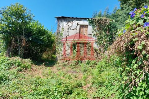 Villa i Ponte de Lima, Viana do Castelo, Ponte de Lima - € 107.500 | Ref: 272M00959 - foto 9
