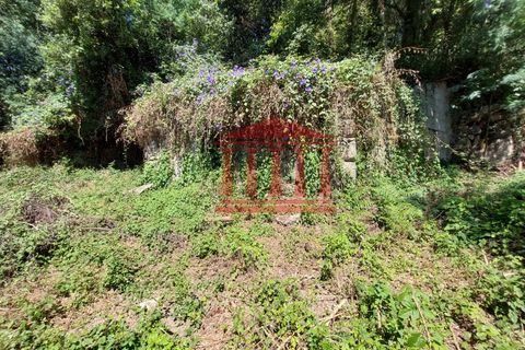 Villa i Ponte de Lima, Viana do Castelo, Ponte de Lima - € 107.500 | Ref: 272M00959 - foto 14