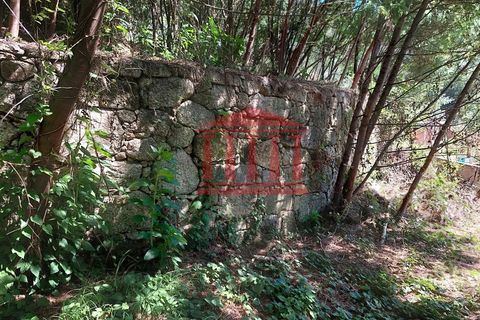Villa i Ponte de Lima, Viana do Castelo, Ponte de Lima - € 107.500 | Ref: 272M00959 - foto 15