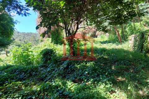 Villa i Ponte de Lima, Viana do Castelo, Ponte de Lima - € 107.500 | Ref: 272M00959 - foto 16