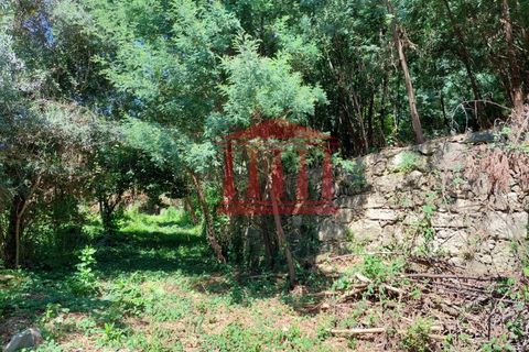 Villa i Ponte de Lima, Viana do Castelo, Ponte de Lima - € 107.500 | Ref: 272M00959 - foto 17