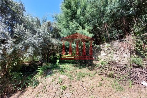 Villa i Ponte de Lima, Viana do Castelo, Ponte de Lima - € 107.500 | Ref: 272M00959 - foto 18