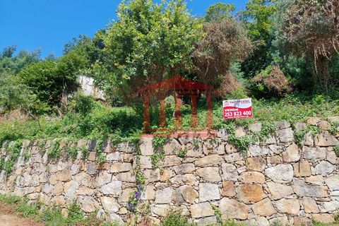 Villa i Ponte de Lima, Viana do Castelo, Ponte de Lima - € 107.500 | Ref: 272M00959 - foto 1