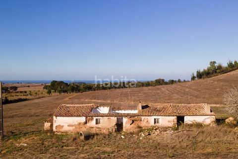 Farm i Sines, Setubal, Sines - € 1.600.000 | Ref: MB122101 (2)_IS - foto 2
