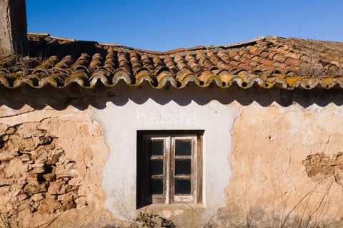 Farm i Sines, Setubal, Sines - € 1.600.000 | Ref: MB122101 (2)_IS - foto 4