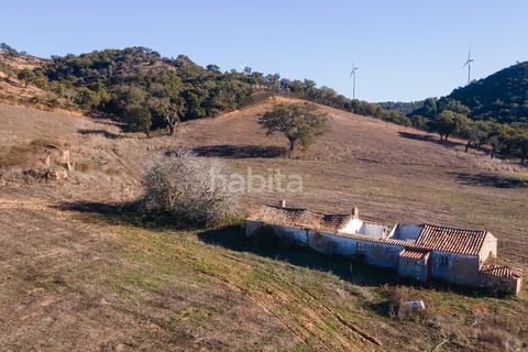 Farm i Sines, Setubal, Sines - € 1.600.000 | Ref: MB122101 (2)_IS - foto 5
