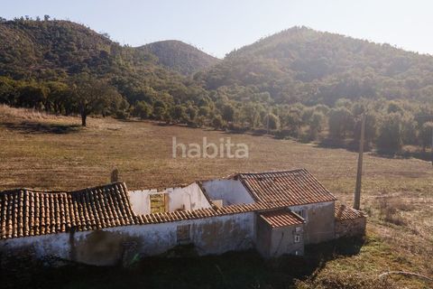 Farm i Sines, Setubal, Sines - € 1.600.000 | Ref: MB122101 (2)_IS - foto 6