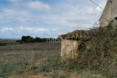 Farm i Sines, Setubal, Sines - € 1.600.000 | Ref: MB122101 (2)_IS - foto 8