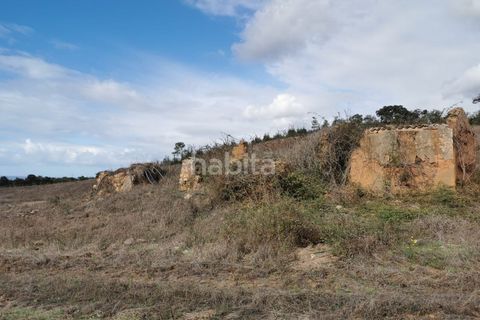 Farm i Sines, Setubal, Sines - € 1.600.000 | Ref: MB122101 (2)_IS - foto 9