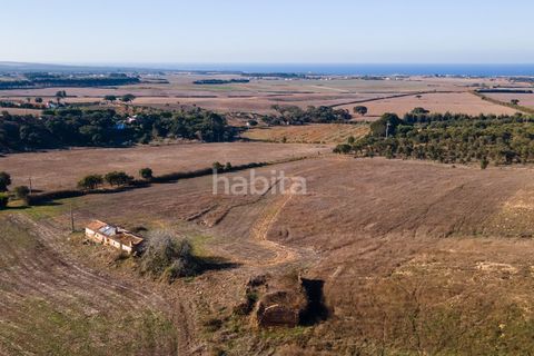 Farm i Sines, Setubal, Sines - € 1.600.000 | Ref: MB122101 (2)_IS - foto 10
