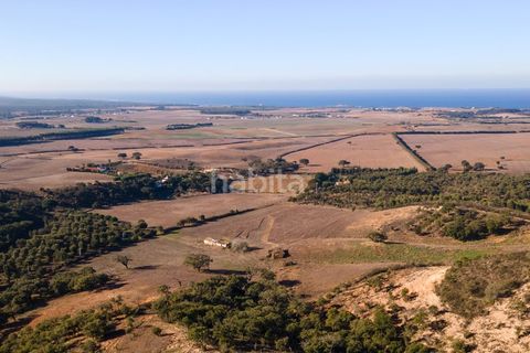 Farm i Sines, Setubal, Sines - € 1.600.000 | Ref: MB122101 (2)_IS - foto 11