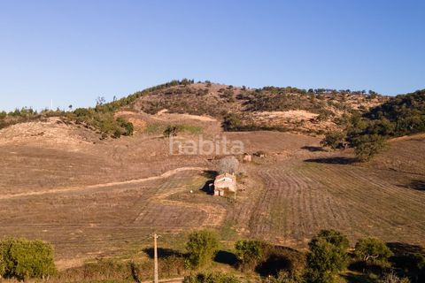 Farm i Sines, Setubal, Sines - € 1.600.000 | Ref: MB122101 (2)_IS - foto 13