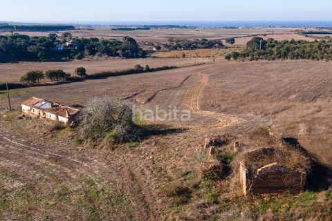 Farm i Sines, Setubal, Sines - € 1.600.000 | Ref: MB122101 (2)_IS - foto 14