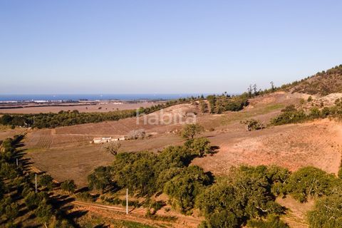 Farm i Sines, Setubal, Sines - € 1.600.000 | Ref: MB122101 (2)_IS - foto 15