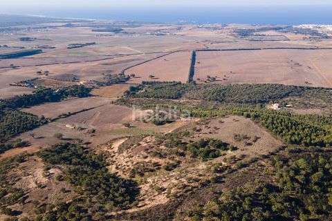 Farm i Sines, Setubal, Sines - € 1.600.000 | Ref: MB122101 (2)_IS - foto 16
