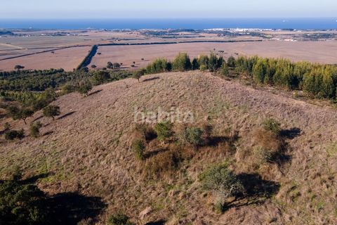 Farm i Sines, Setubal, Sines - € 1.600.000 | Ref: MB122101 (2)_IS - foto 17