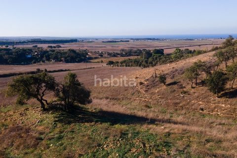 Farm i Sines, Setubal, Sines - € 1.600.000 | Ref: MB122101 (2)_IS - foto 18