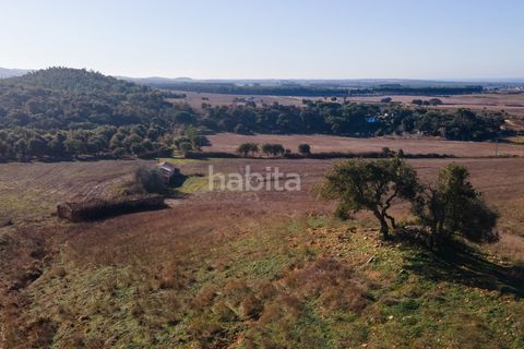 Farm i Sines, Setubal, Sines - € 1.600.000 | Ref: MB122101 (2)_IS - foto 19