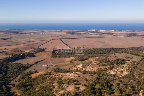 Farm i Sines, Setubal, Sines - € 1.600.000 | Ref: MB122101 (2)_IS - foto 21