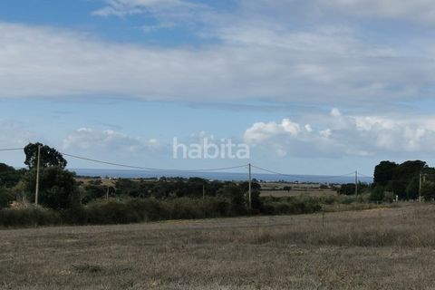 Farm i Sines, Setubal, Sines - € 1.600.000 | Ref: MB122101 (2)_IS - foto 22