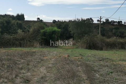 Farm i Sines, Setubal, Sines - € 1.600.000 | Ref: MB122101 (2)_IS - foto 23