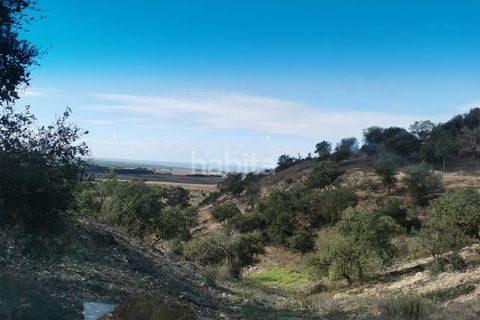 Farm i Sines, Setubal, Sines - € 1.600.000 | Ref: MB122101 (2)_IS - foto 24