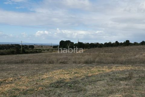 Farm i Sines, Setubal, Sines - € 1.600.000 | Ref: MB122101 (2)_IS - foto 25