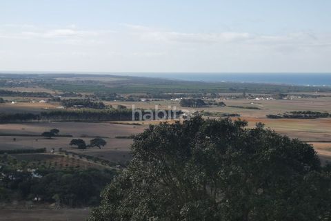 Farm i Sines, Setubal, Sines - € 1.600.000 | Ref: MB122101 (2)_IS - foto 27