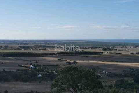 Farm i Sines, Setubal, Sines - € 1.600.000 | Ref: MB122101 (2)_IS - foto 29