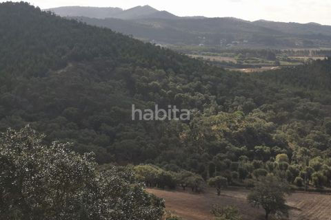Farm i Sines, Setubal, Sines - € 1.600.000 | Ref: MB122101 (2)_IS - foto 30
