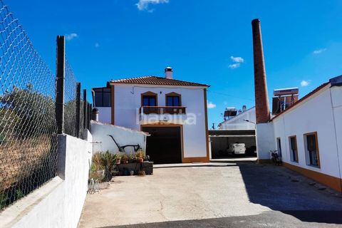 Villa i Cercal do Alentejo, Setubal, Cercal do Alentejo - € 640.000 | Ref: MB092201_VC - foto 4