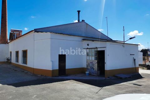 Villa i Cercal do Alentejo, Setubal, Cercal do Alentejo - € 640.000 | Ref: MB092201_VC - foto 5