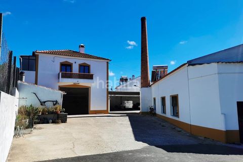 Villa i Cercal do Alentejo, Setubal, Cercal do Alentejo - € 640.000 | Ref: MB092201_VC - foto 6